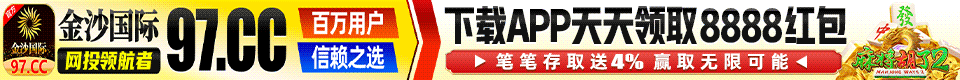 公开横幅广告